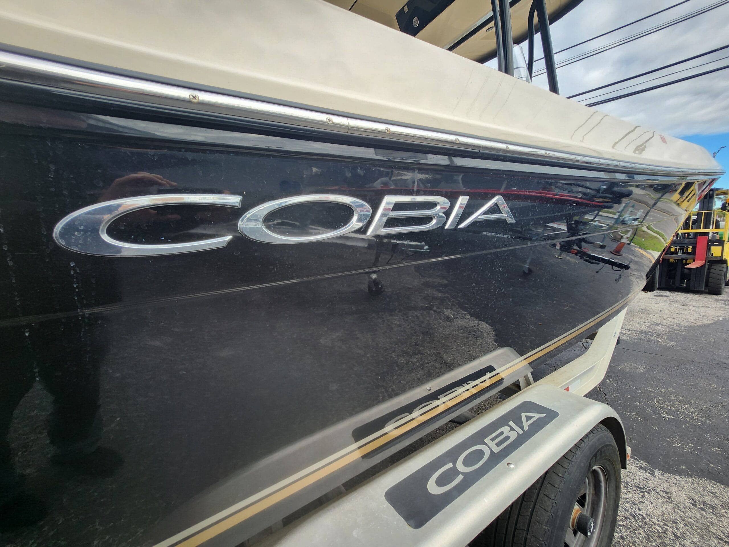 Cobia Logo